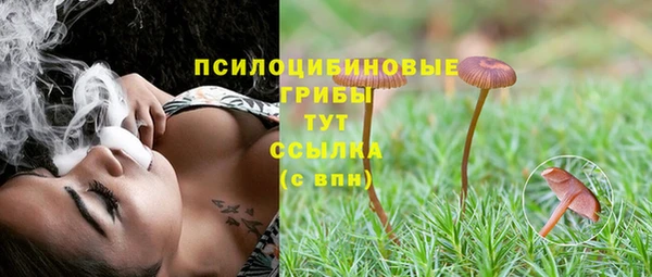apvp Алексин