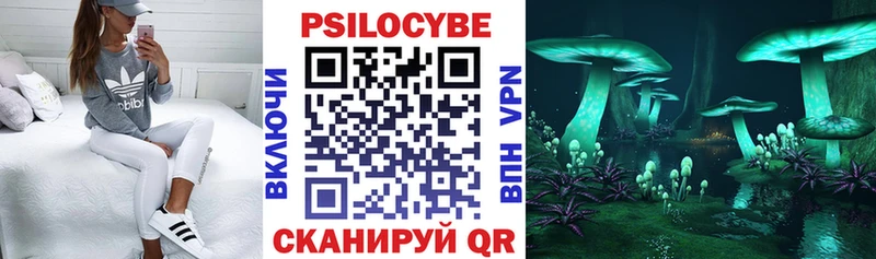 OMG ТОР  Ливны  Галлюциногенные грибы Cubensis 