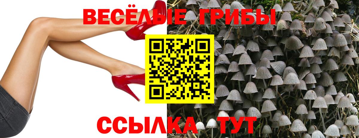 Ливны  Псилоцибиновые грибы мицелий  Вход с VPN 