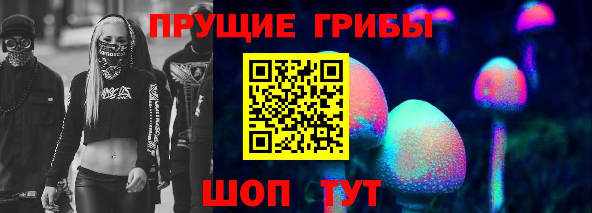 Галлюциногенные грибы Psilocybine cubensis Ливны